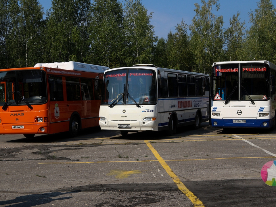Image for Нижегородским перевозчикам повысили компенсацию за обслуживание льготников