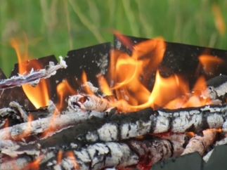 Image for В МЧС рассказали, как безопасно пожарить шашлыки