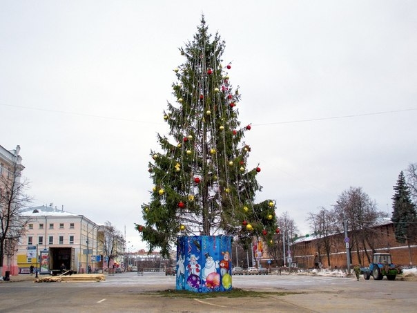 Главную новогоднюю елку установят на площади Минина и Пожарского
