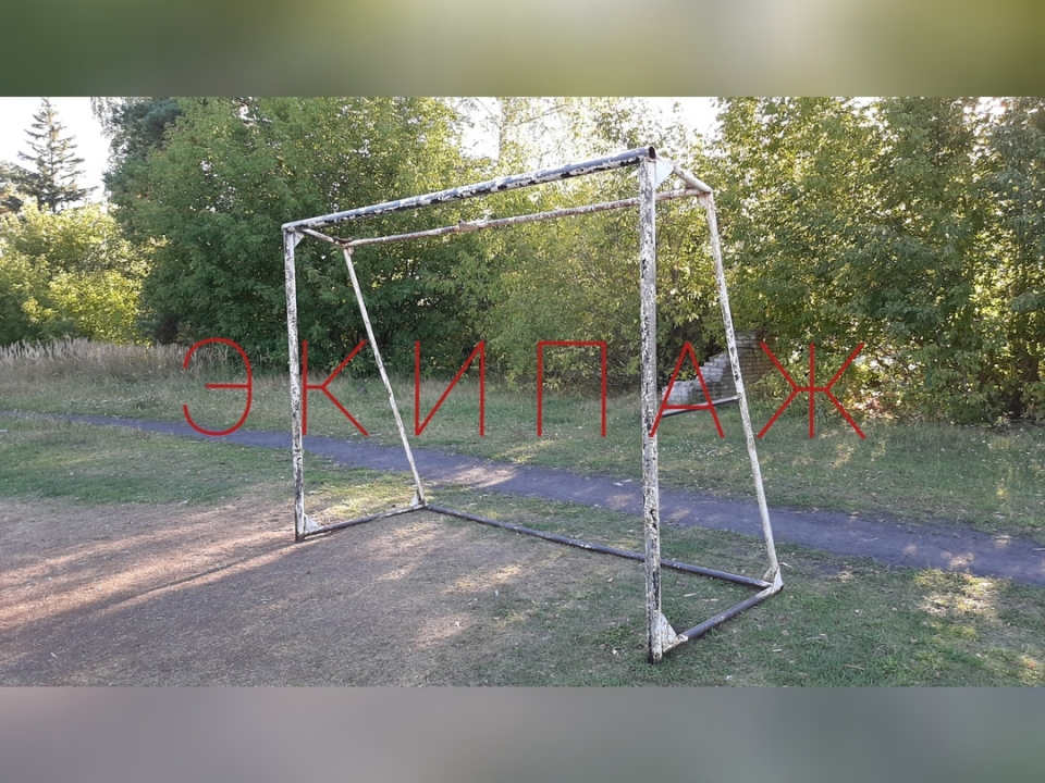 Image for СК проверит инцидент с падением футбольных ворот на ребенка в Володарском районе