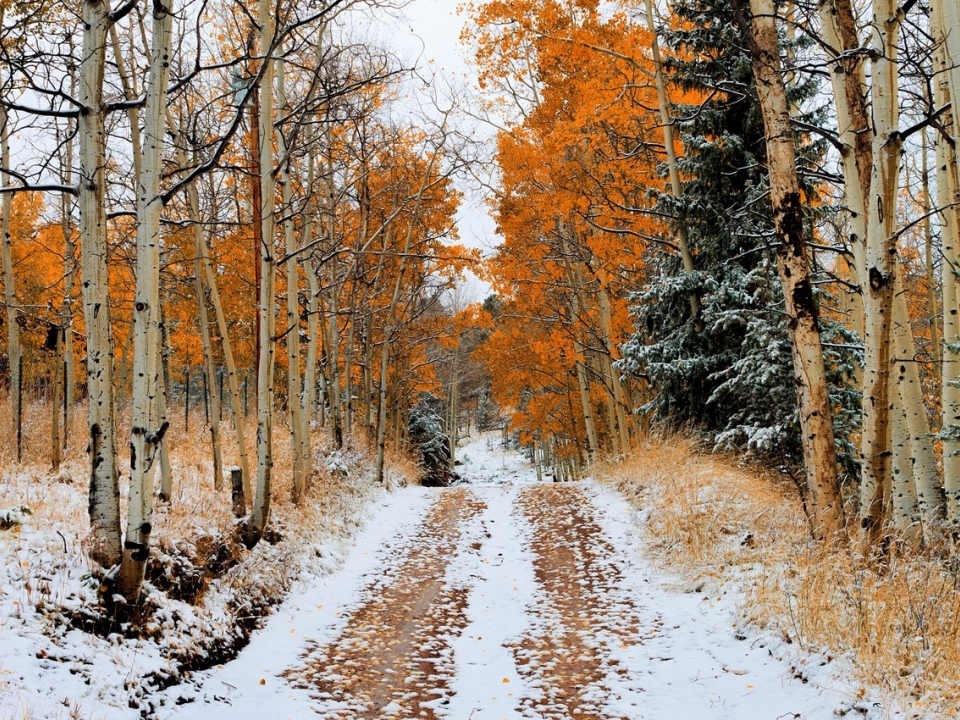 Похолодание до -4 и снег придут в Нижегородскую область на этой неделе