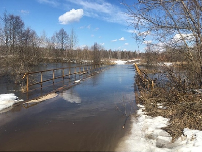 Image for Девять мостов Нижегородской области затопило на 6 апреля