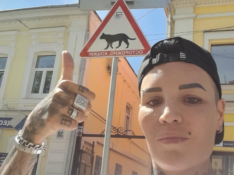 Image for Дорожный знак «Осторожно, кошки!» появился в Нижнем Новгороде