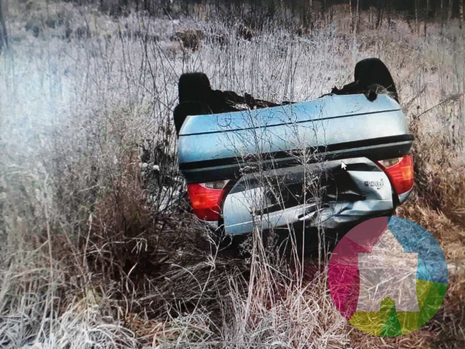 Image for Форд улетел в кювет в Выксунском районе: ранена 18-летняя девушка