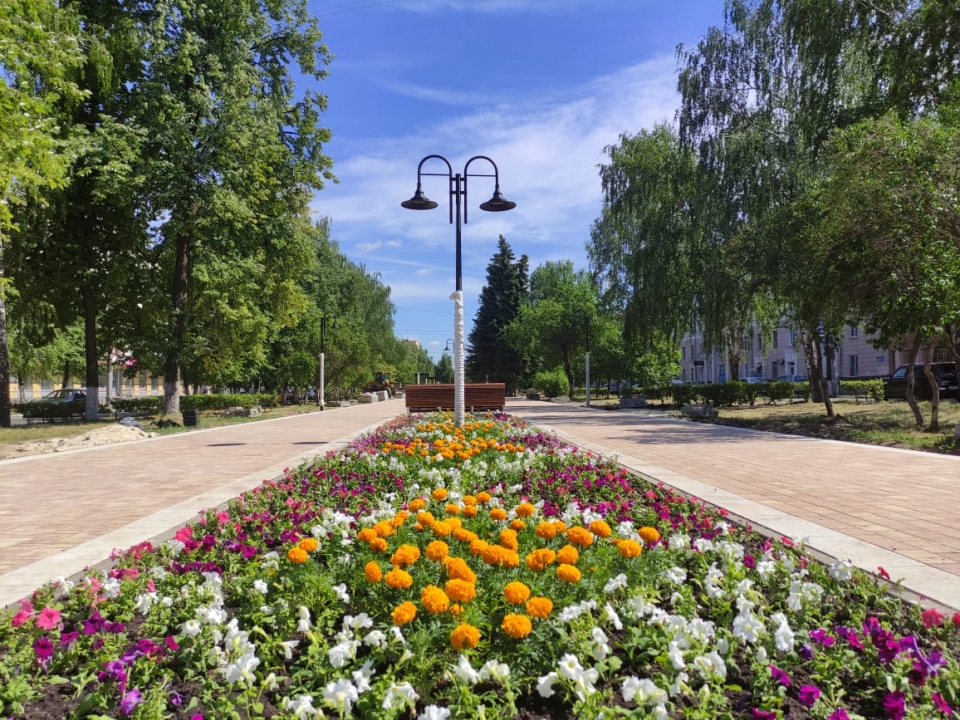 Image for Готовность сквера на Юбилейном бульваре в Нижнем Новгороде оценивается в 83%