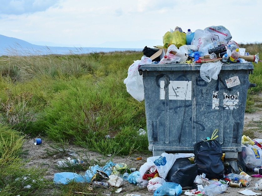 Image for Нижегородская область вошла в число регионов РФ с низкой «мусорной напряженностью»