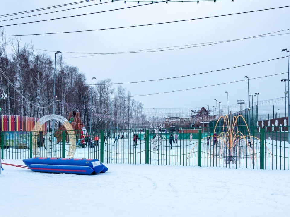 Image for Сормовский парк закрылся из-за морозов