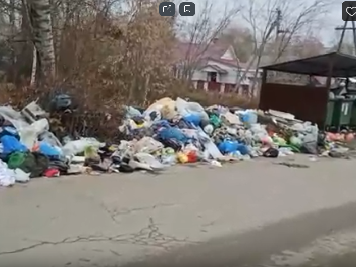 Image for Жители посёлка Стригино возмущены стихийной помойкой у контейнеров