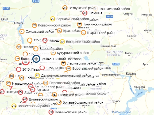 16 районов Нижегородской области коронавирус обошел стороной