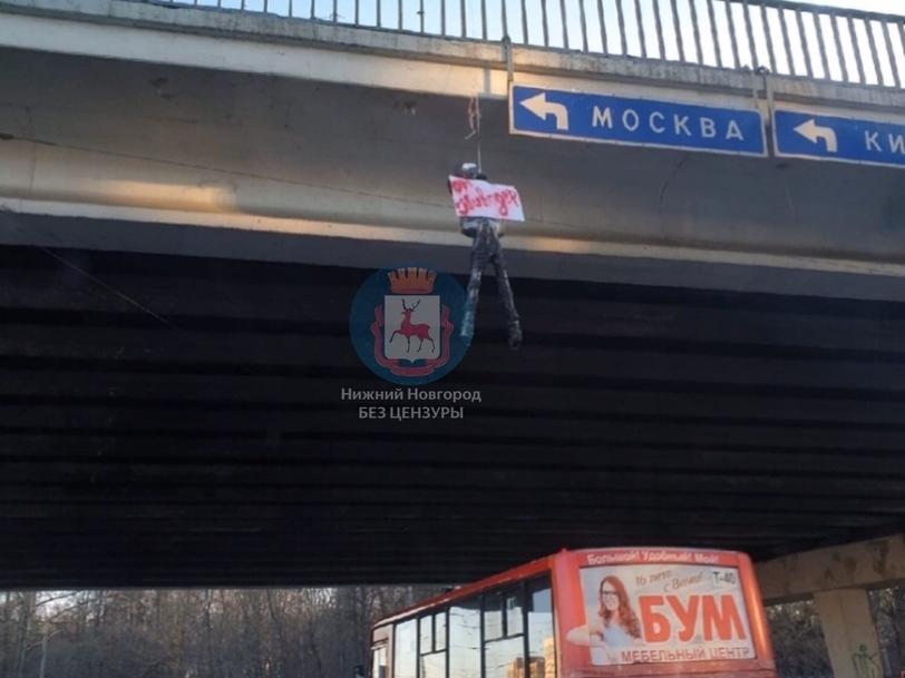 Image for В Нижнем Новгороде подвесили «живодеров»