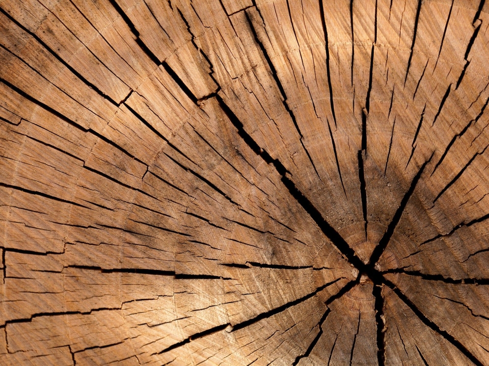 Image for Инвестпроект по изготовлению деревянной тары признан приоритетным в Нижегородской области