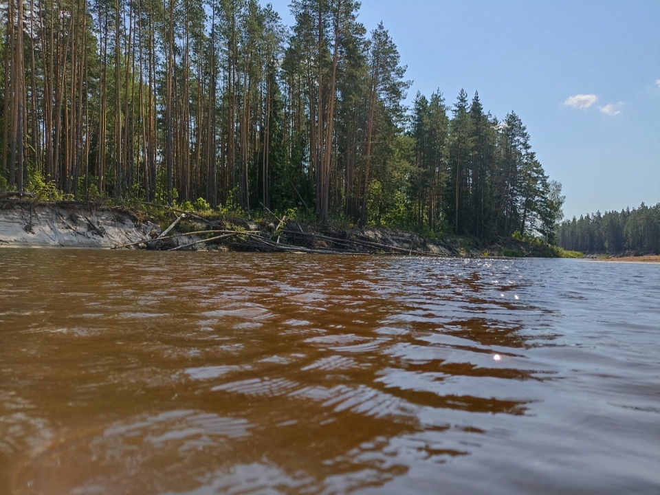 Image for СК и прокуратура расследуют гибель детей во время купания в Нижегородской области