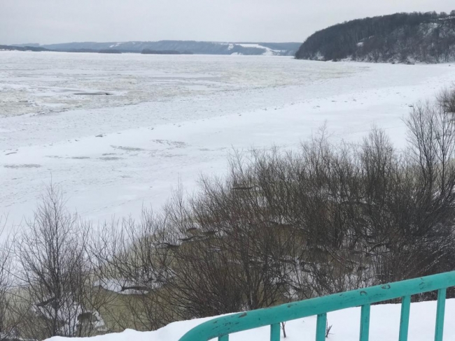 Нижегородцы спасли на Волге провалившуюся пол лед лосиху