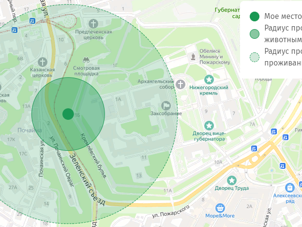 Image for Разрешённые для прогулок зоны отметили нижегородцам на «Карте жителя»