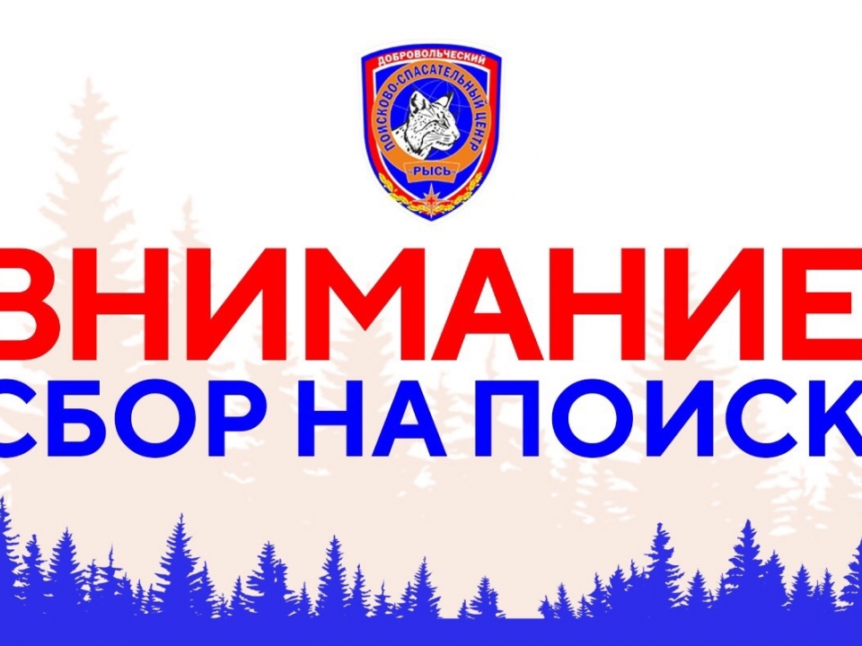Image for Нижегородские волонтеры подключились к поискам останков женщины