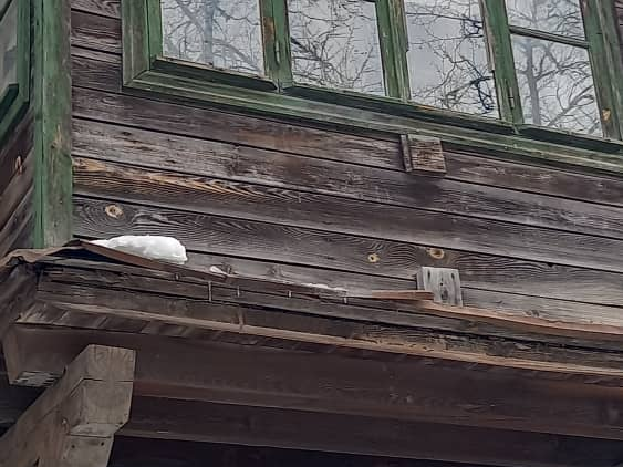 Image for Нижегородские коммунальщики заменили разбитые стекла в окнах жилого дома