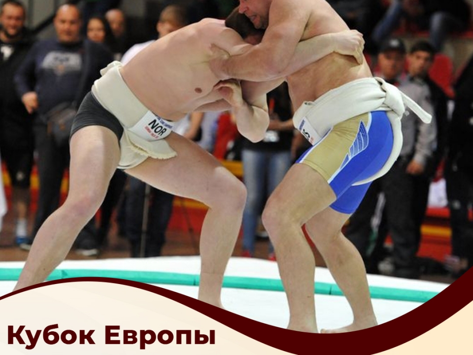 Первый для России Кубок Европы по сумо пройдёт в Нижегородской области