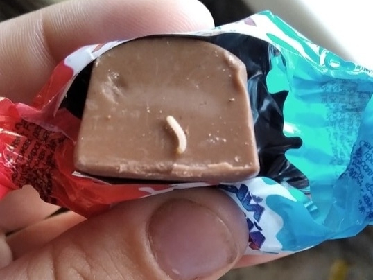 Image for Нижегородцы нашли червей в шоколадных конфетах