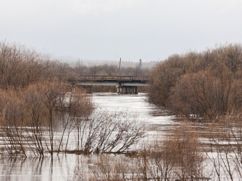 Image for 22 дома и 3 дороги может подтопить из-за сброса воды на Нижегородской ГЭС