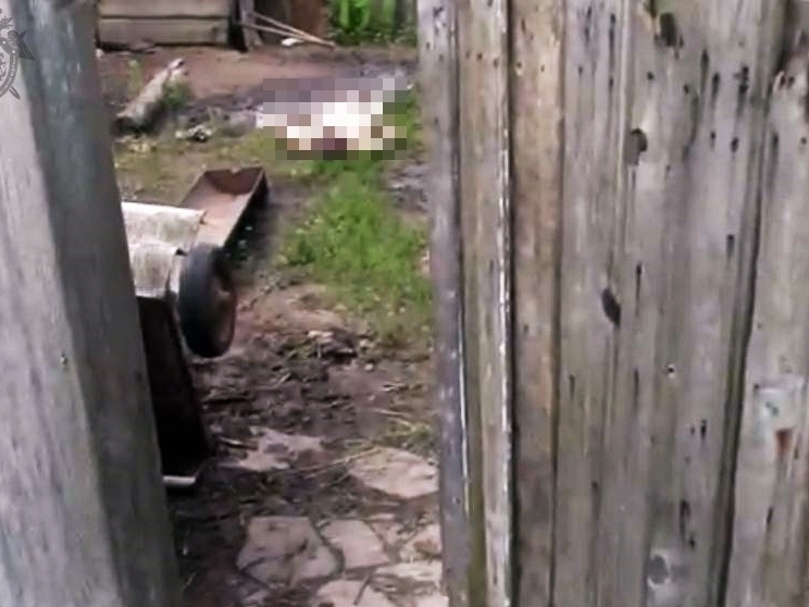 Image for Жительница Богородского района зарезала мужа и выбросила его тело на улицу 