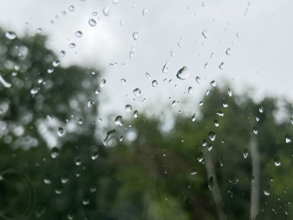 Image for До +15 °C и небольшие дожди обещают нижегородцам 24 сентября