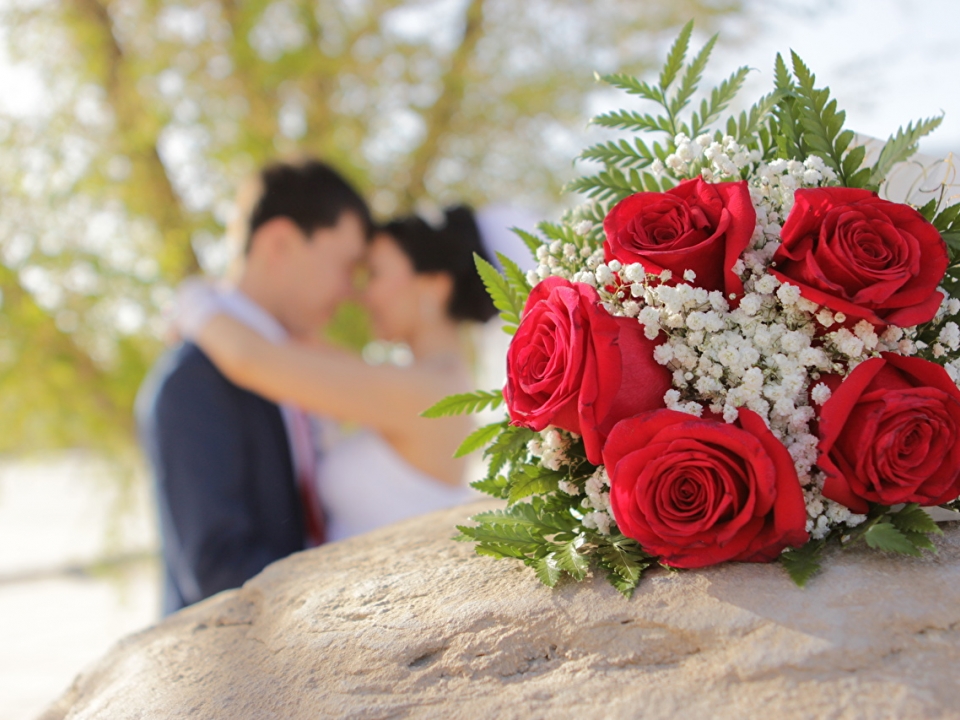 Image for В Новинках во время свадьбы прямо с неба полетели розы