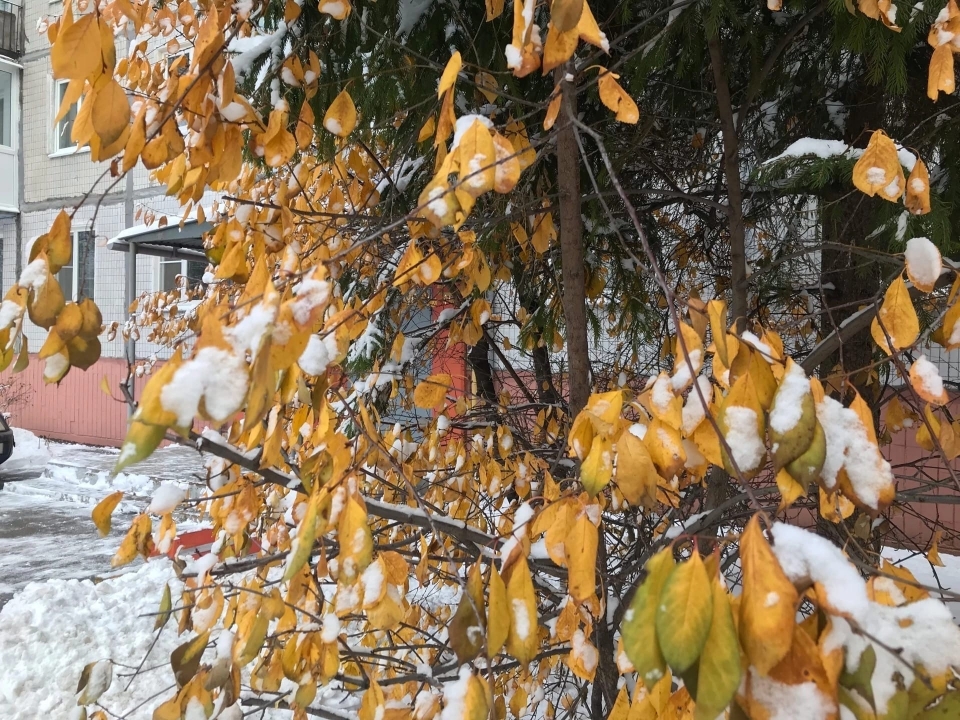 Image for Небольшой снег с холодами до -14 °C обещают нижегородцам 8 декабря