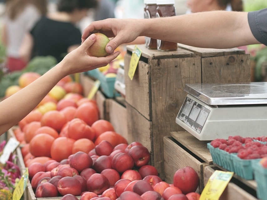 В Нижегородской области снизились цены на свинину, яблоки и яйца