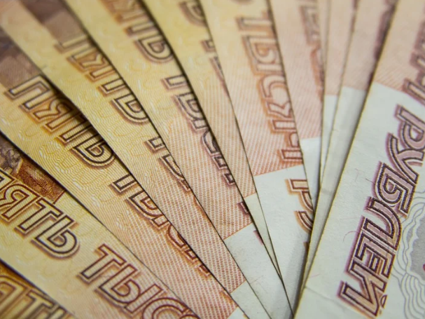 Image for ГК «Фест Логистик» из Дзержинска получит 300 млн рублей от ФРП на модернизацию производства