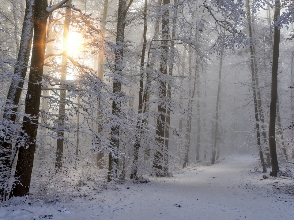 Image for Небольшой снег и похолодание до -9 °C придут в Нижний Новгород 23 ноября