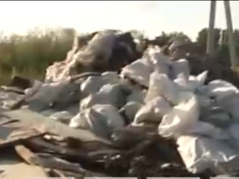Image for Трое жителей кстовской деревни устроили незаконную свалку мусора в Нижегородской области