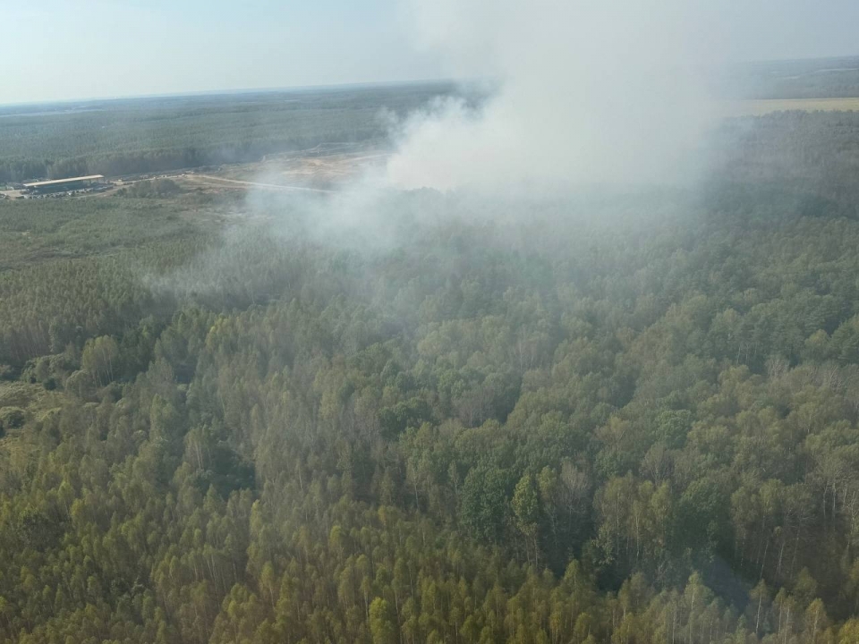 Image for Мусорный полигон под Городцом мог загореться из-за жары