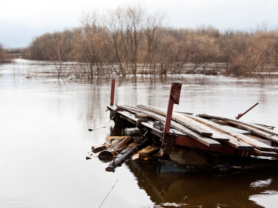 Image for Мост в Починковском районе затопило из-за паводка