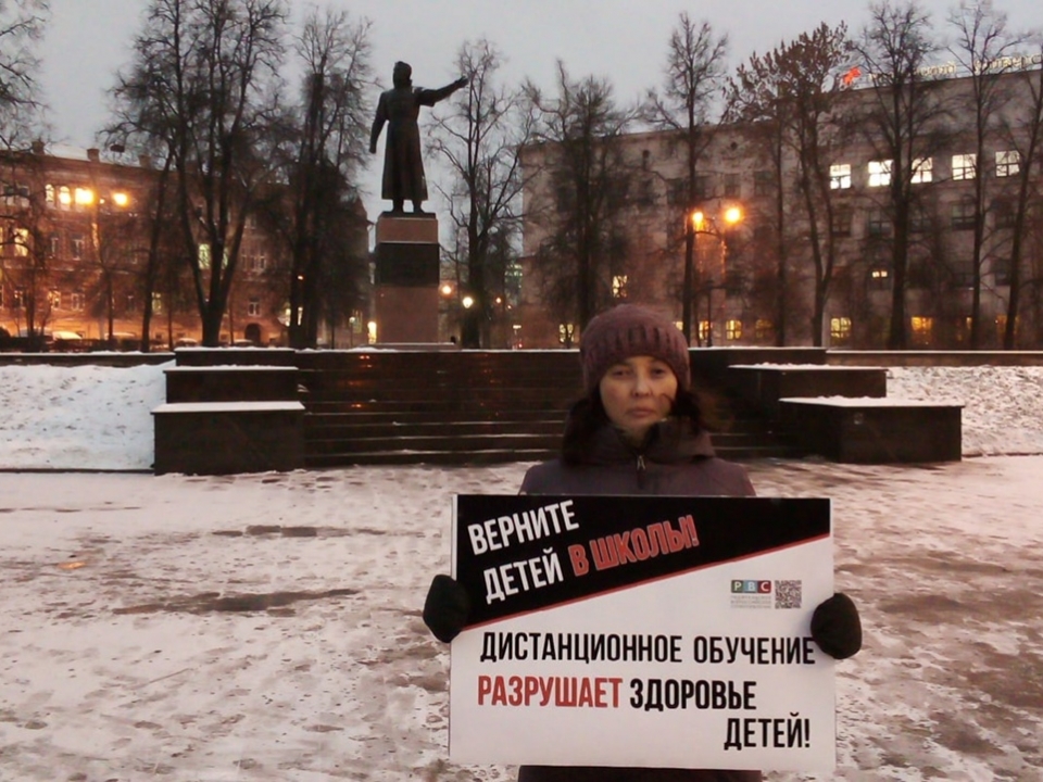Image for Еще один пикет против дистанционного образования прошел в Нижнем Новгороде