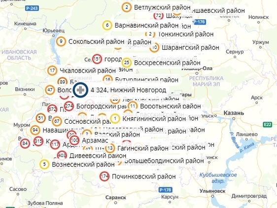 Image for Названы районы Нижегородской области, где нет новых случаев коронавируса