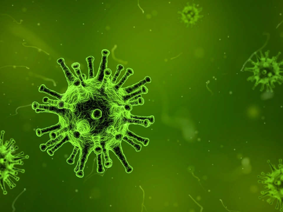 Image for Новая волна коронавируса в России ожидается в мае-июне