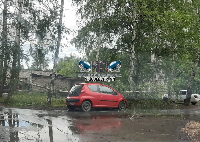 Ураган обрушил деревья в Нижнем Новгороде