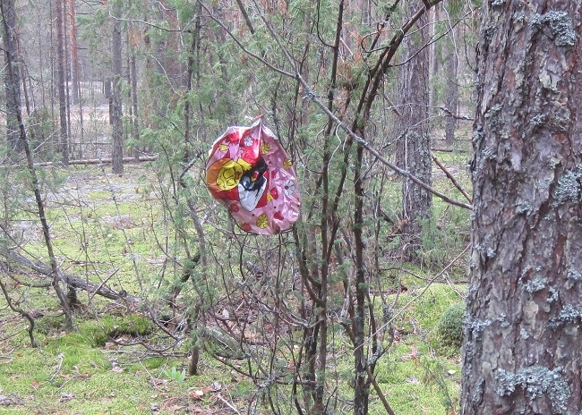 Image for Экологи просят нижегородцев не запускать в небо воздушные шары
