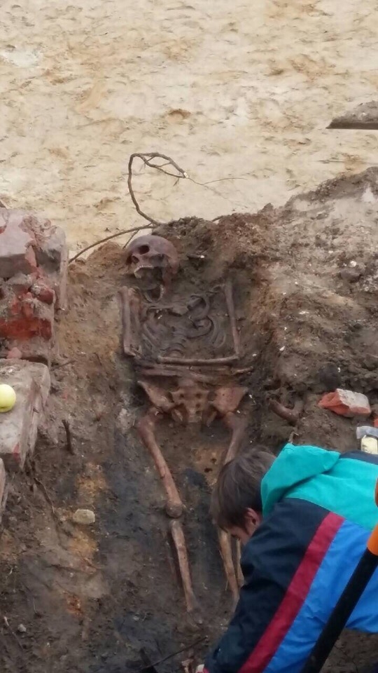 Image for Останки офицера царской армии обнаружены археологами в Сарове