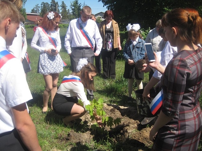 Image for Экологи просят нижегородцев не запускать в небо воздушные шары