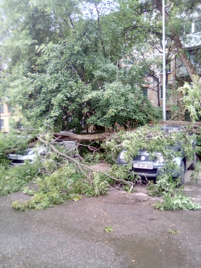 Image for Ураган обрушил деревья в Нижнем Новгороде