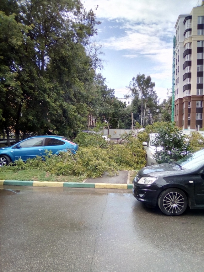 Image for Ураган обрушил деревья в Нижнем Новгороде