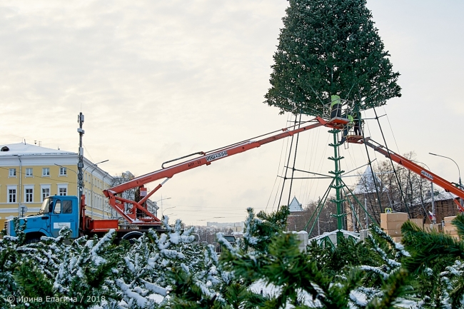 Image for Как в Нижнем Новгороде елку новогоднюю на площади Минина и Пожарского ставили: фоторепортаж