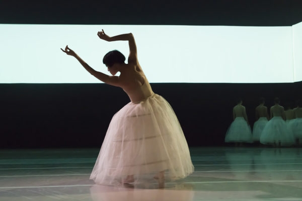 Image for В Нижний Новгород приедет современный балет из Тайваня «Плавающие цветы»