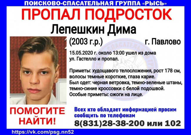 Image for 17-летнего Диму Лепешкина ищут в Нижегородской области