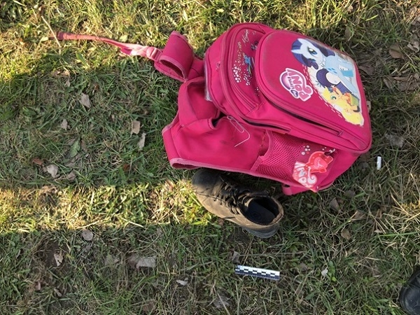 Image for 9-летняя школьница из Выксы погибла под колесами "Волги" 