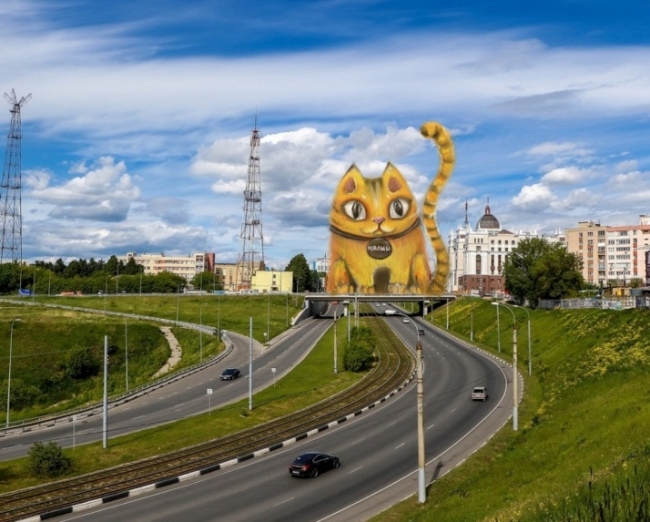 Image for Гигантские коты "захватили" Нижний Новгород