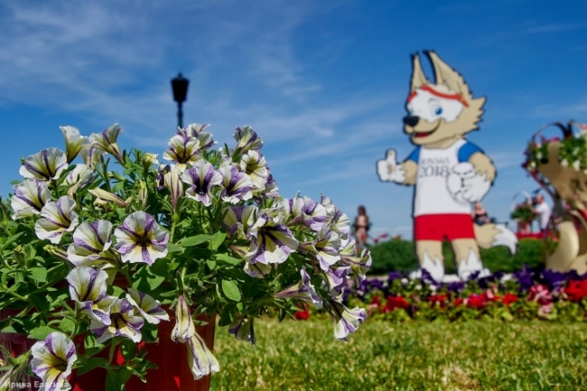 Image for Цветет и пахнет: в Нижнем Новгороде открылся Праздник цветов