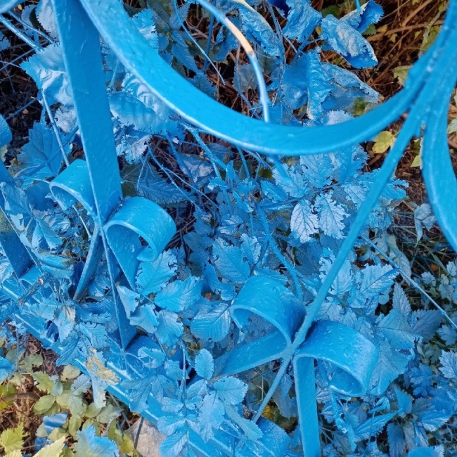 Image for В Выксе школьный забор покрасили в синий цвет вместе с растениями