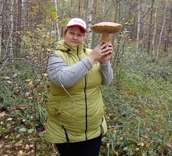 Image for «Грибы-гиганты атакуют!» — нижегородцы делятся фотографиями грибного урожая